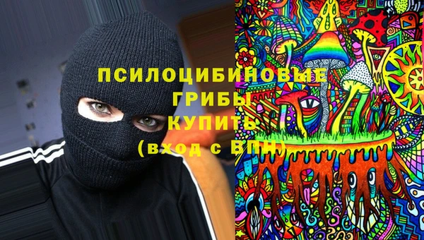 МДМА Алексеевка
