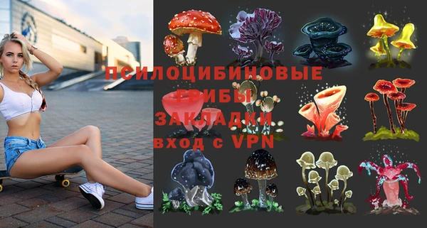 винт Алексин