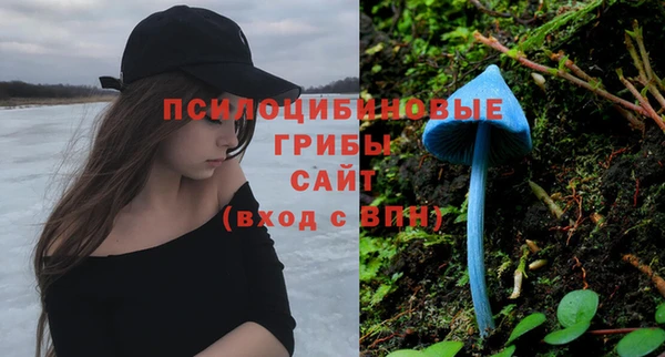 винт Алексин
