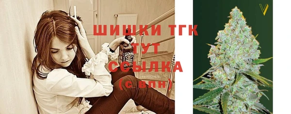 индика Михайловка
