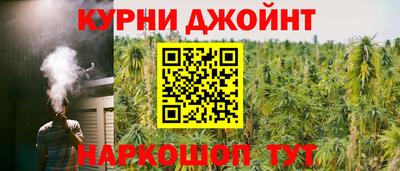 мдпв Партизанск