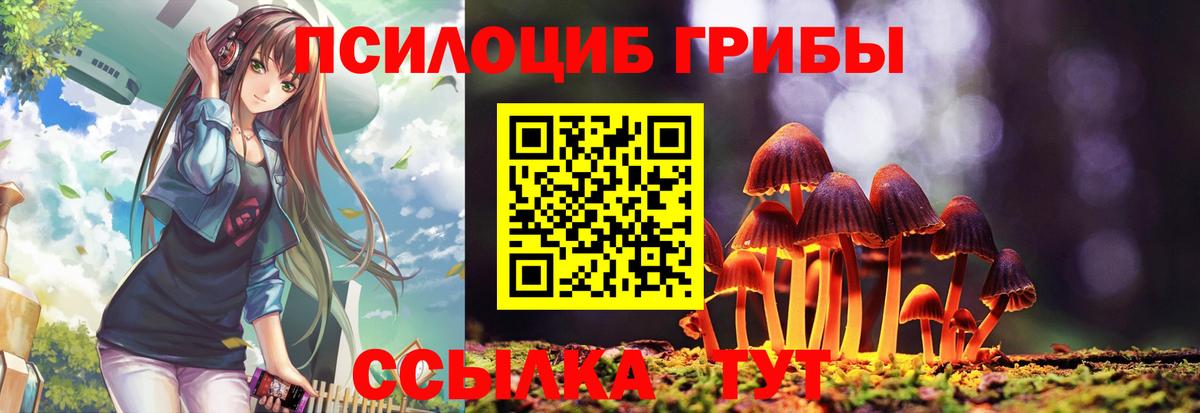 Галлюциногенные грибы GOLDEN TEACHER  Вход с VPN  Старый Оскол 
